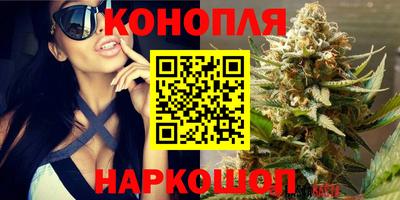 соль ск Новокубанск