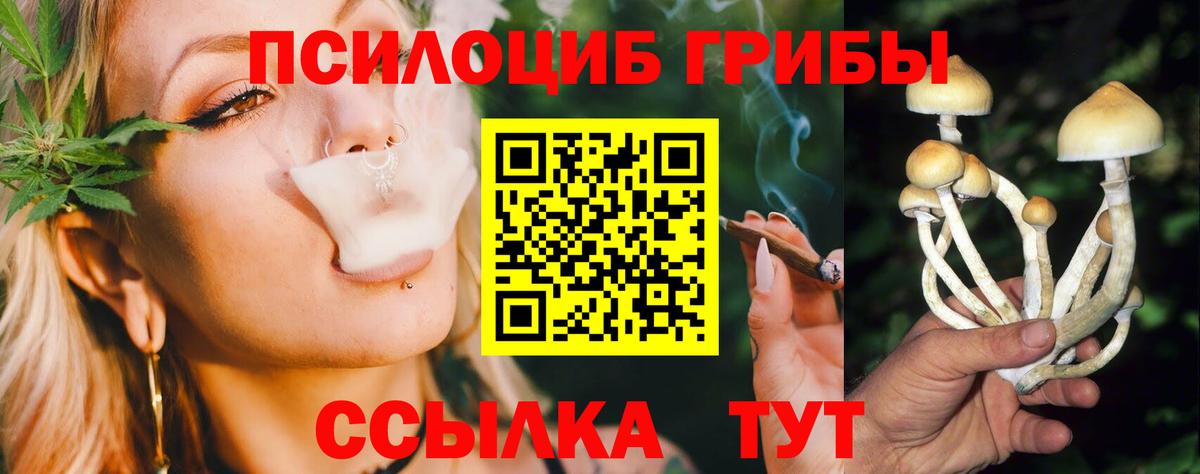 Павловский Посад  Псилоцибиновые грибы MAGIC MUSHROOMS  Вход с VPN  Галлюциногенные грибы мухоморы 